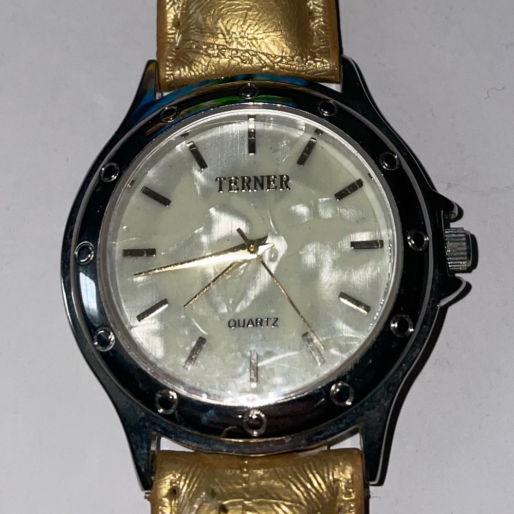 Terner Watch